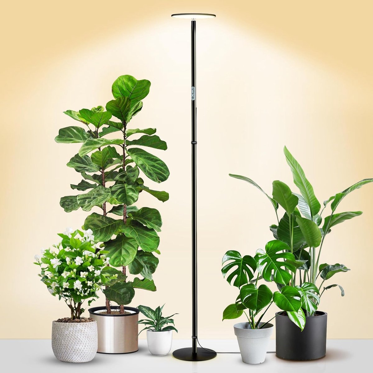 Lamp 175 cm - 40 W - dimbaar - sfeervolle verlichting - SnelShoppen