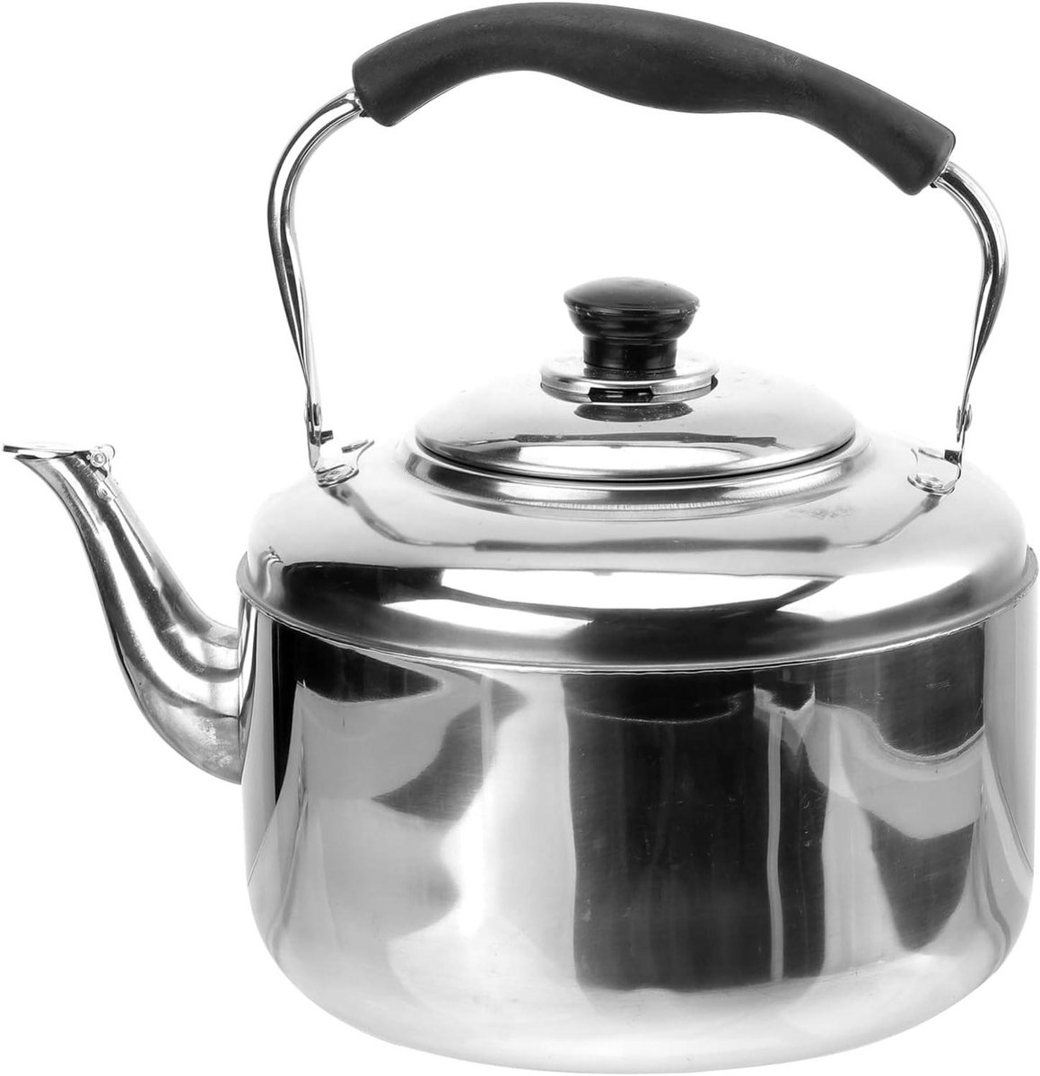 Theeketel Roestvrij Staal - Waterkoker Fornuis - Water Koken - Luid Fluitend Geluid - 5.5 Liter - Zilver