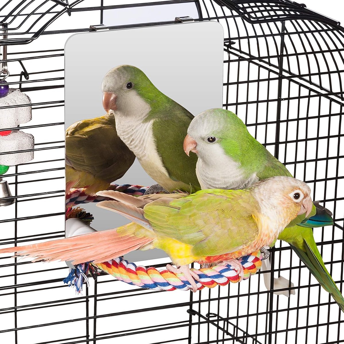 18 cm roestvrij stalen vogelspiegel met touw Perch, vogelspeelgoed (M)