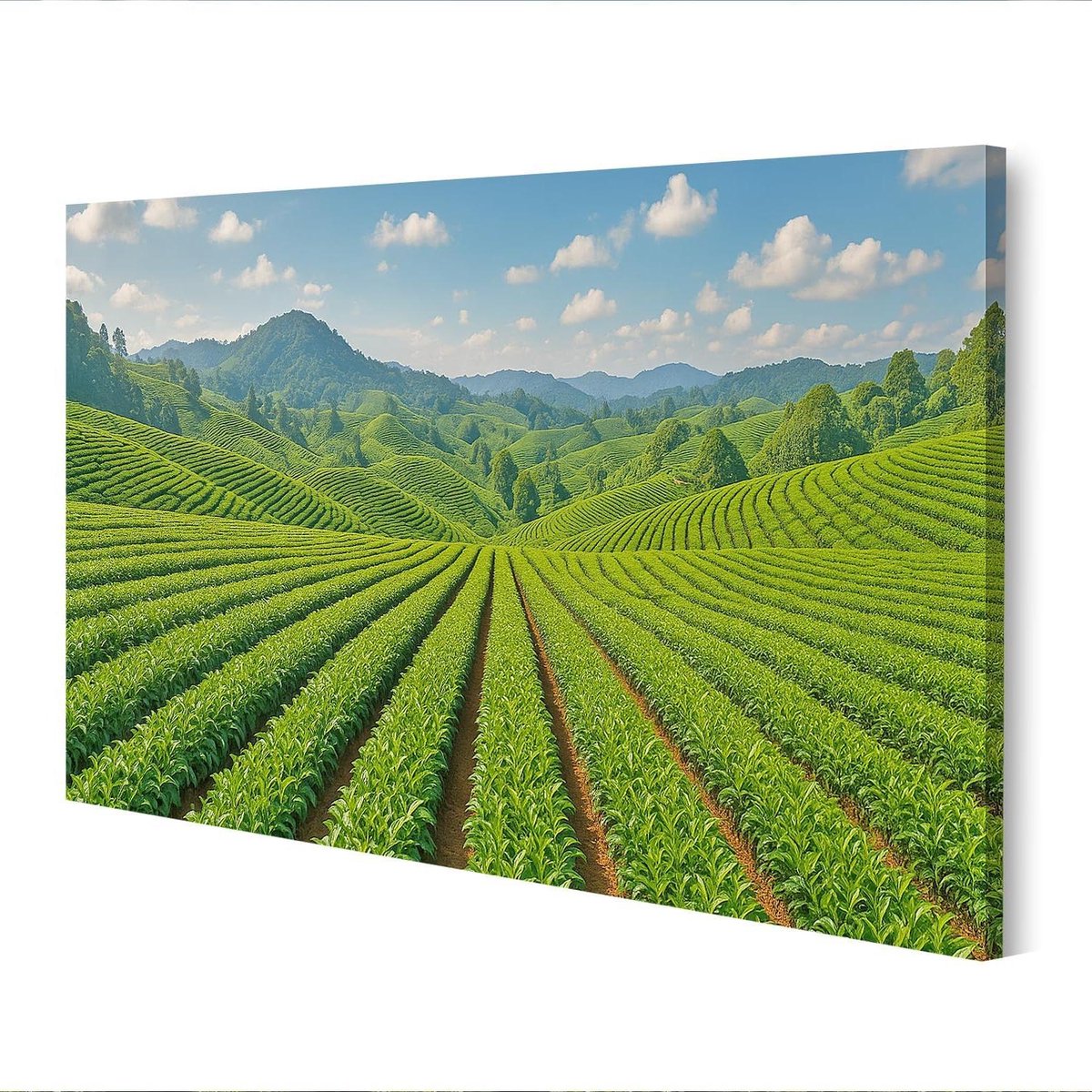 Canvas Muurschildering Theeplanten - Natuurposter Wanddecoratie - Woonkamer Decoratie - Echte Canvasstructuur - 80x40cm - Groen