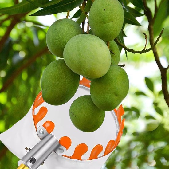 Fruitplukker - Plukgereedschap mand - Fruit oogsten - Getande ring - 26 x 20 x 17 cm - Niet gespecificeerd — afbeelding 4
