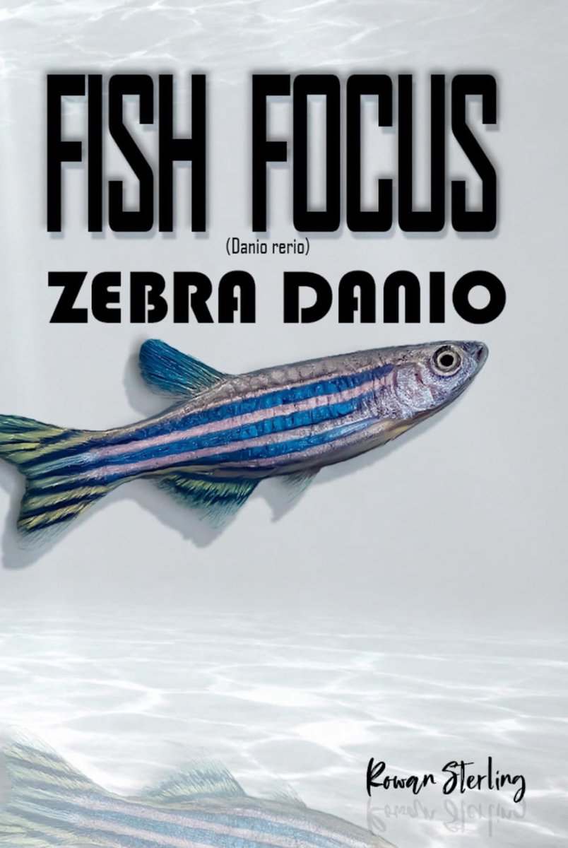 Zebra Danio gids - gedrag, verzorging en leefgebied - ideaal voor aquarianen - ontdek meer over deze populaire vis - ShopVlot