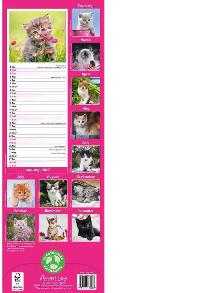 Kittens Kalender 2027 Slimline