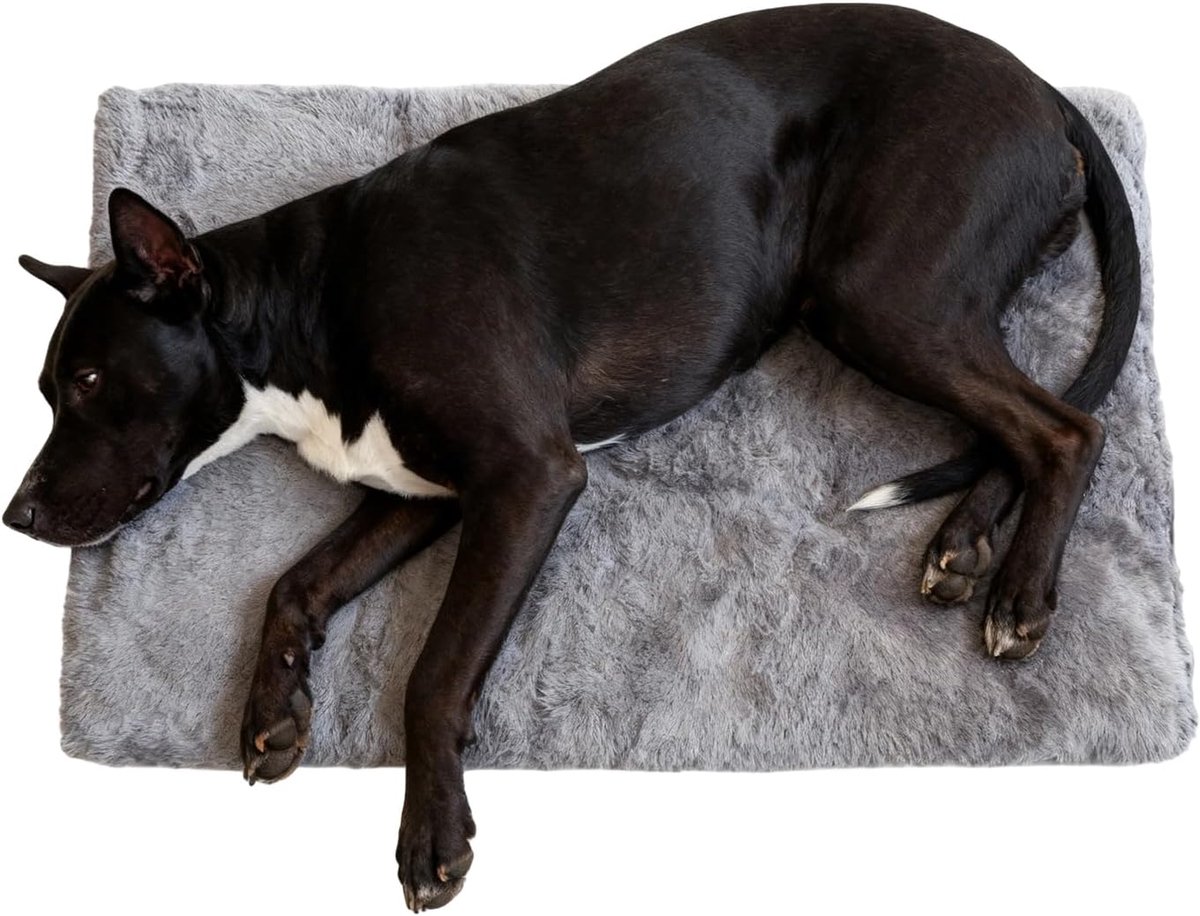 Hondenbed Anti-Slip Huisdierenkussen | Platte Puppy Bench Kennel Hondenslaapplaats Voor Appartement Studentenkamer Huis Woonkamer Slaapkamer