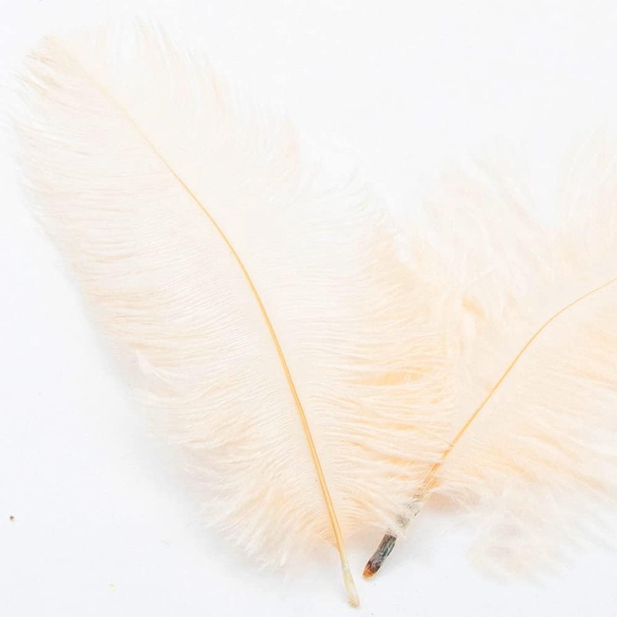 Veren, 10 stuks, 15 - 20 cm, om te knutselen, knutselveren voor doe-het-zelf dromenvanger-accessoires, woondecoratie, kostuums, tafeldecoratie, bruiloft, feest, hoed, kleding