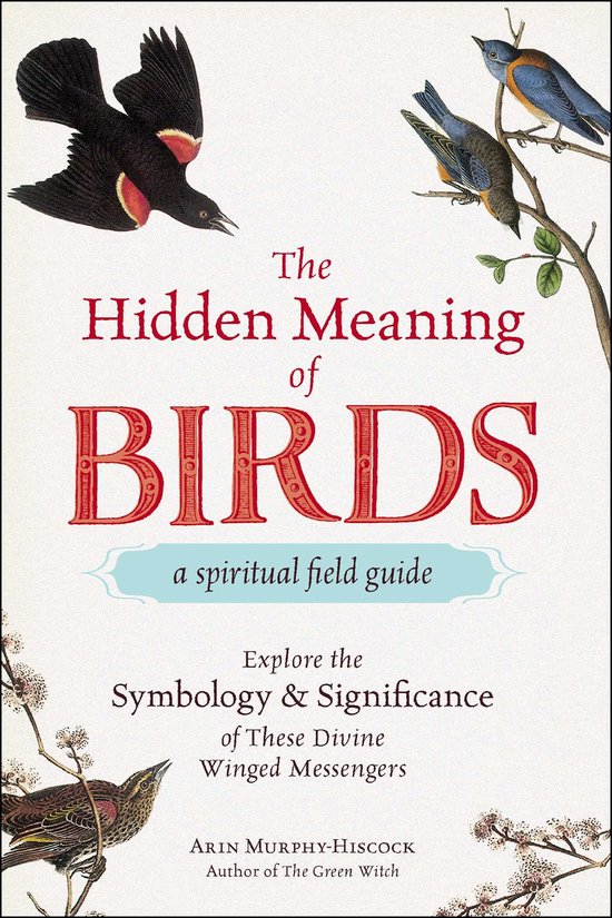 Couverture du livre "The Hidden Meaning of Birds a spiritual field guide" avec des illustrations d'oiseaux.