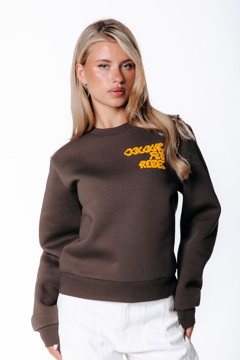Colourful Rebel Logo Wave Relaxed Sweat- XXL