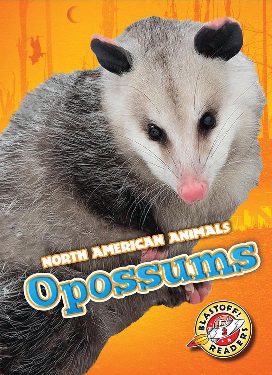 North American Animals - Opossums - cover
