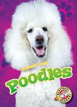 Awesome Dogs - Poodles