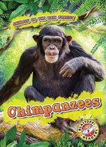 Animals of the Rain Forest - Chimpanzees