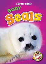 Super Cute! - Baby Seals