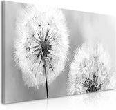 Schilderij - Pluizige paardenbloemen, Zwart-Wit, 100x45