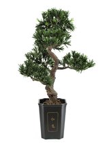 Europalms Bonsai podocarpus - Kunstplant in pot - 80 cm