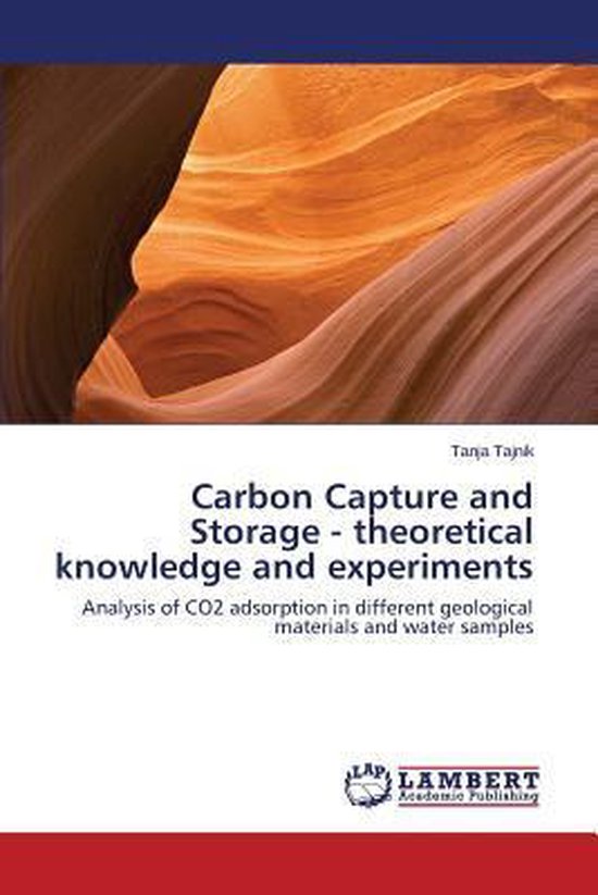 Carbon Capture and Storage - theoretical knowledge and experiments ...