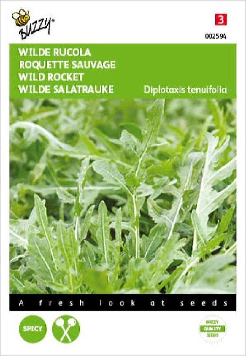 Buzzy Zaden - Wilde Rucola - Diplotaxis tenuifolia