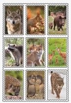 Wilde dieren 3D sticker set