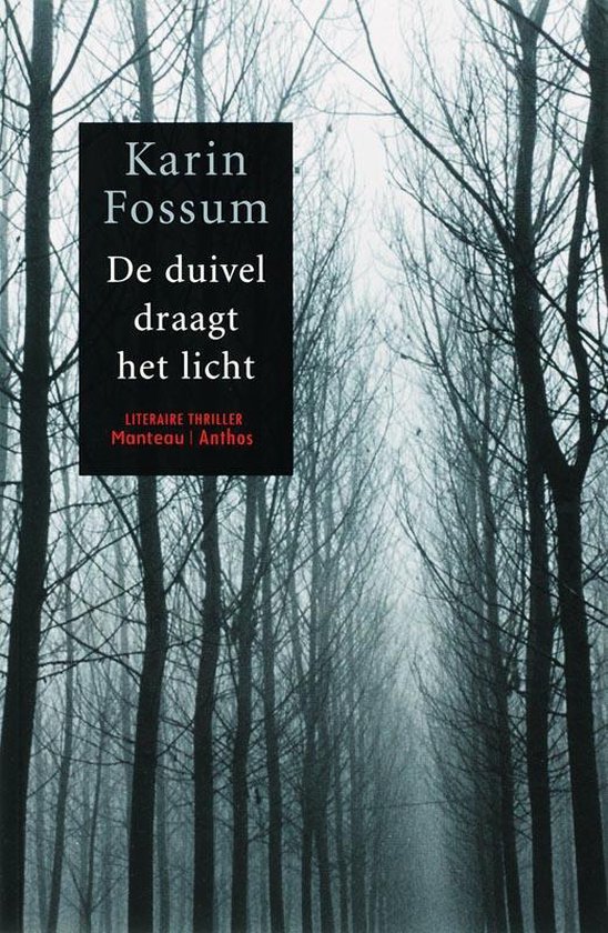 De duivel draagt het licht - cover