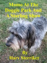Momo At The Doggie Park And A Starling Show