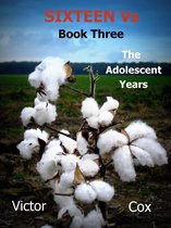 Sixteen Vs 3 - Sixteen Vs, Book Three, The Adolescent Years