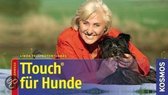 TTouch für Hunde