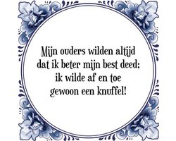 Tegeltje met Spreuk (Tegeltjeswijsheid): Mijn ouders wilden altijd dat ik beter mijn best deed; ik wilde af en toe gewoon een knuffel! + Kado verpakking & Plakhanger