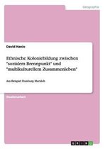 Ethnische Koloniebildung zwischen sozialem Brennpunkt und multikulturellem Zusammenleben