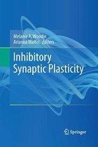 Inhibitory Synaptic Plasticity