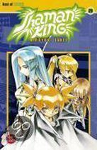 Shaman King 29