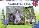 Ravensburger Puzzles 3x49 p - Chatons tigrés