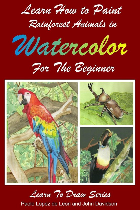 Learn to Draw 20 Learn How to Paint Rainforest Animals