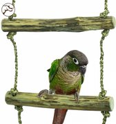 Back Zoo Java Touwladder 200cm