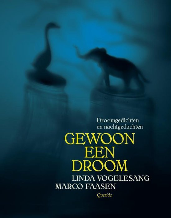 Gewoon een droom - cover
