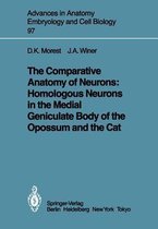 The Comparative Anatomy of Neurons