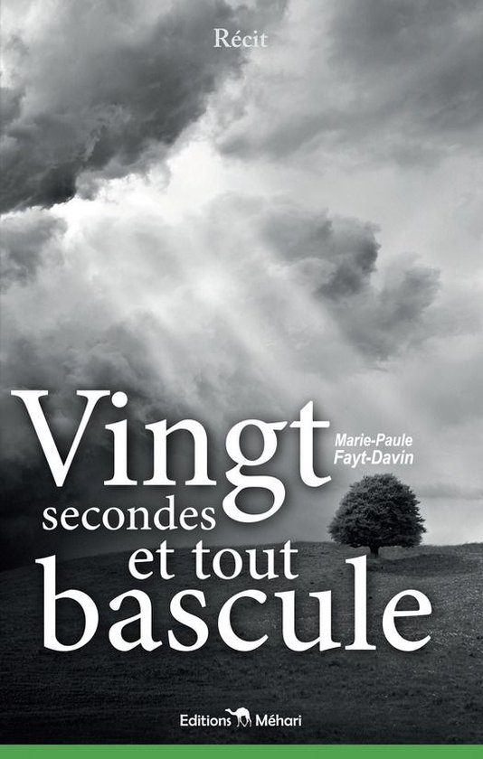 Grand format - Vingt secondes et tout bascule - cover