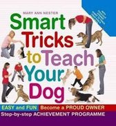Smart Tricks to Teach Your Dog