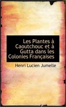 Les Plantes Caoutchouc Et Gutta Dans Les Colonies Fran Aises