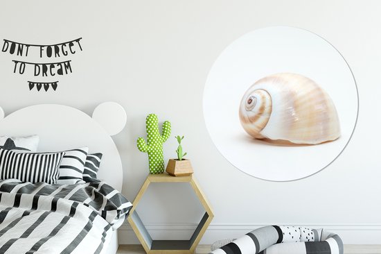 WallCircle - Peinture - Coquillage Animaux Spirale Et - Multicolore - 140 X 140 Cm