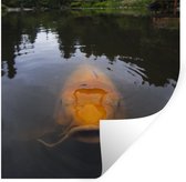 Stickers muraux - Une carpe koï géante dans l'eau - 80x80 cm - Film adhésif