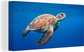 Canvas Schilderij Schildpad in de oceaan - 80x40 cm - Wanddecoratie