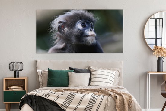 Canvas schilderij 160x80 cm - Wanddecoratie Apen - Dieren - Natuur - Muurdecoratie woonkamer - Slaapkamer decoratie - Kamer accessoires - Schilderijen