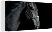 Toile Peinture Cheval - Zwart - Licol - 80x40 cm - Décoration murale