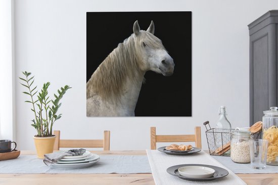 Cheval Wit sur toile fond noir 2cm 90x90 cm - Tirage photo sur toile (Décoration murale salon / chambre) / Peintures sur toile Animaux de la ferme