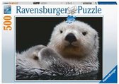 Ravensburger puzzel Schattige Kleine Otter - Legpuzzel - 500 stukjes
