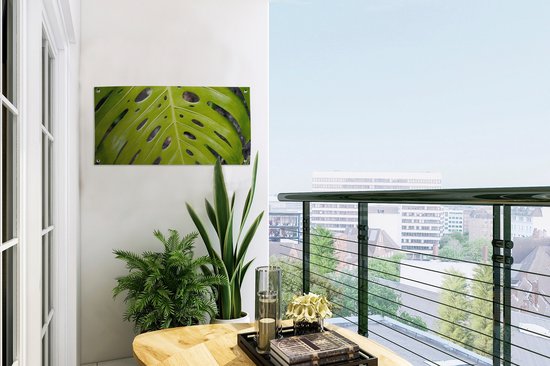 Affiche de jardin Groot feuille botanique de la plante du trou - 60x30 cm - Toile de jardin - Affiche d'extérieur