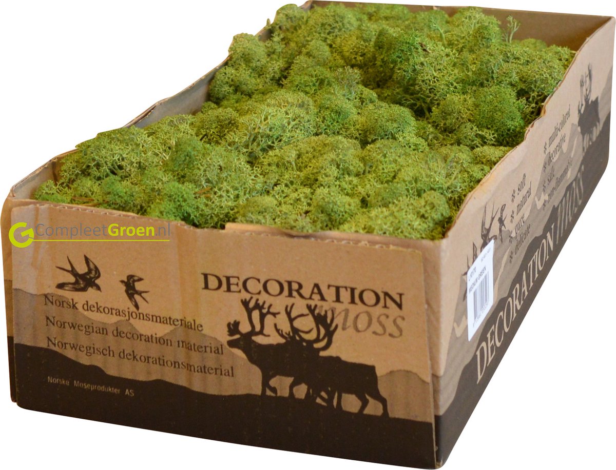 Decoratie Mos, Rendiermos medium groen 500 gram op Prijzenvolger.com