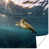 Poster Schildpad in helder water - 100x100 cm XXL