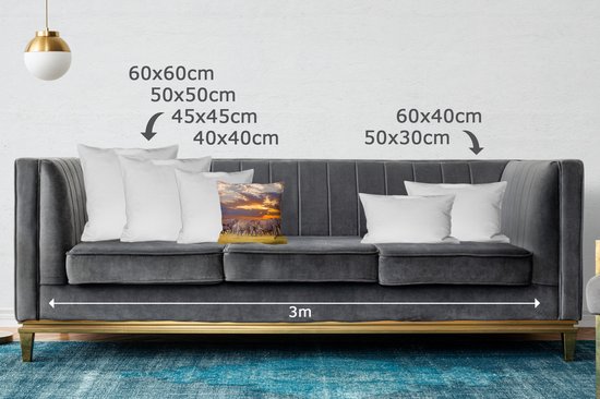 Troupeau d'éléphants au bord d'un lac