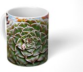 Mok - Succulente plant close-up - 350 ML - Beker