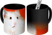 Magische Mok - Foto op Warmte Mokken - Koffiemok - Witte hamster op oranje achtergrond - Magic Mok - Beker - 350 ML - Theemok