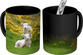 Magische Mok - Foto op Warmte Mok - Gele bloemen en twee lammetjes - 350 ML